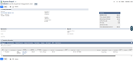 Open NetSuite Employee Expense Report